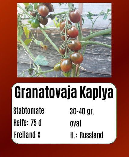 Granatovaja Kaplya DER TOMATENFLÜSTERER