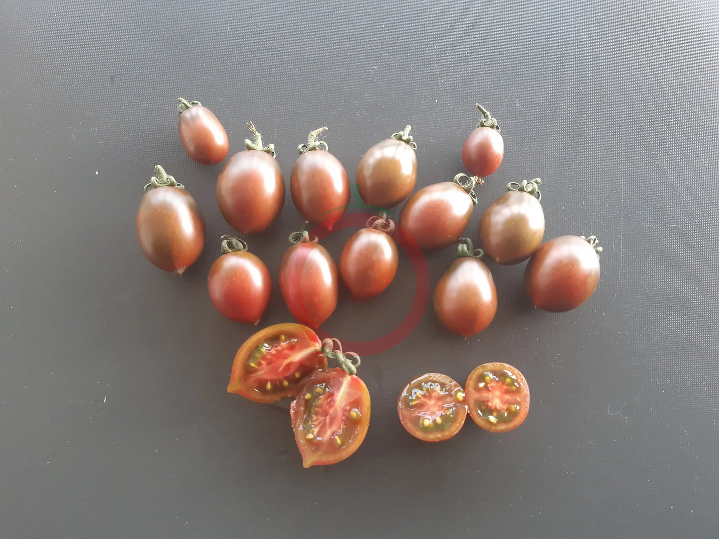 Granatovaja Kaplya DER TOMATENFLÜSTERER