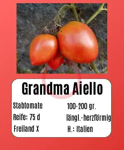 Grandma Aiello DER TOMATENFLÜSTERER