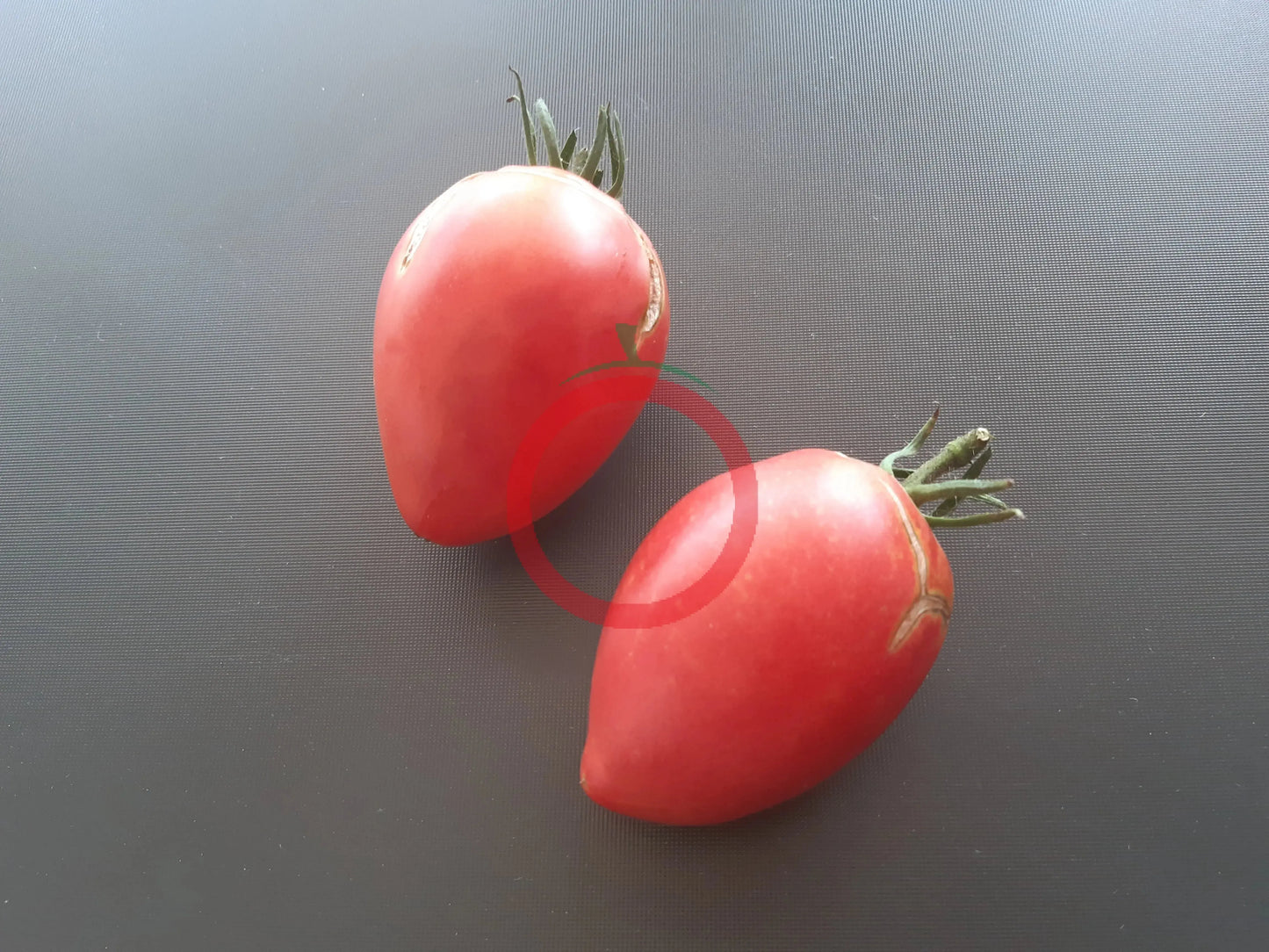 Grandma Aiello DER TOMATENFLÜSTERER