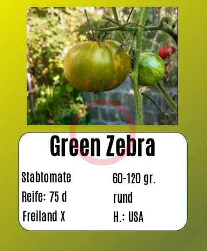 Green Zebra DER TOMATENFLÜSTERER