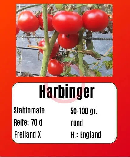 Harbinger DER TOMATENFLÜSTERER