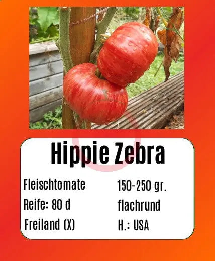 Hippie Zebra DER TOMATENFLÜSTERER