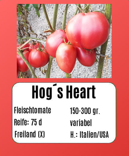 Hog Heart DER TOMATENFLÜSTERER