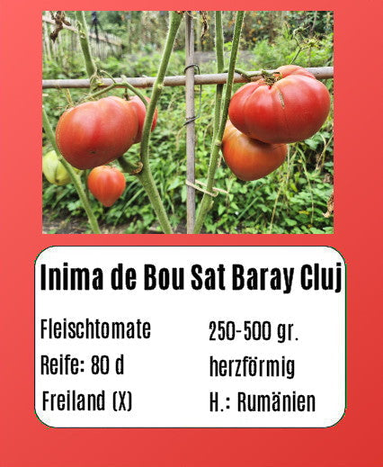 Inima de Bou Sat Baray Cluj DER TOMATENFLÜSTERER