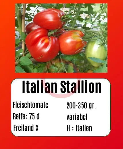 Italian Stallion DER TOMATENFLÜSTERER