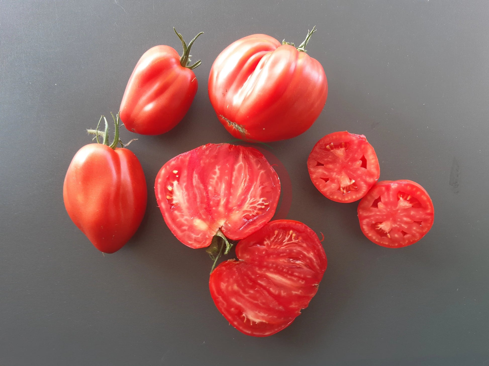 Italian Stallion DER TOMATENFLÜSTERER