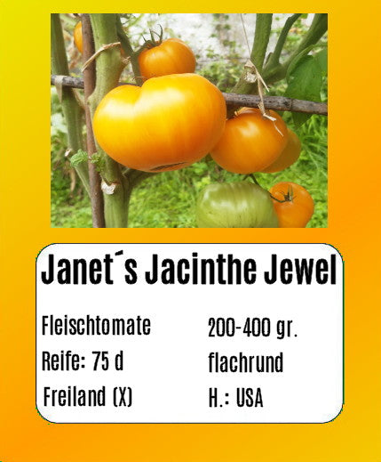 Janet´s Jacinthe Jewel DER TOMATENFLÜSTERER