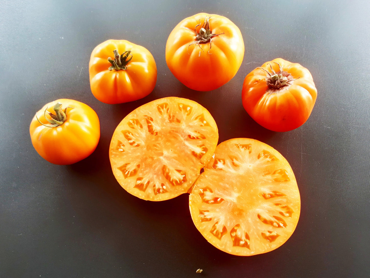 Janet´s Jacinthe Jewel DER TOMATENFLÜSTERER