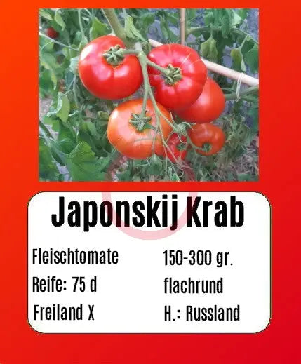 Japonskij Krab DER TOMATENFLÜSTERER