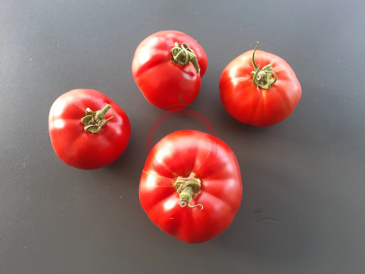 Japonskij Krab DER TOMATENFLÜSTERER