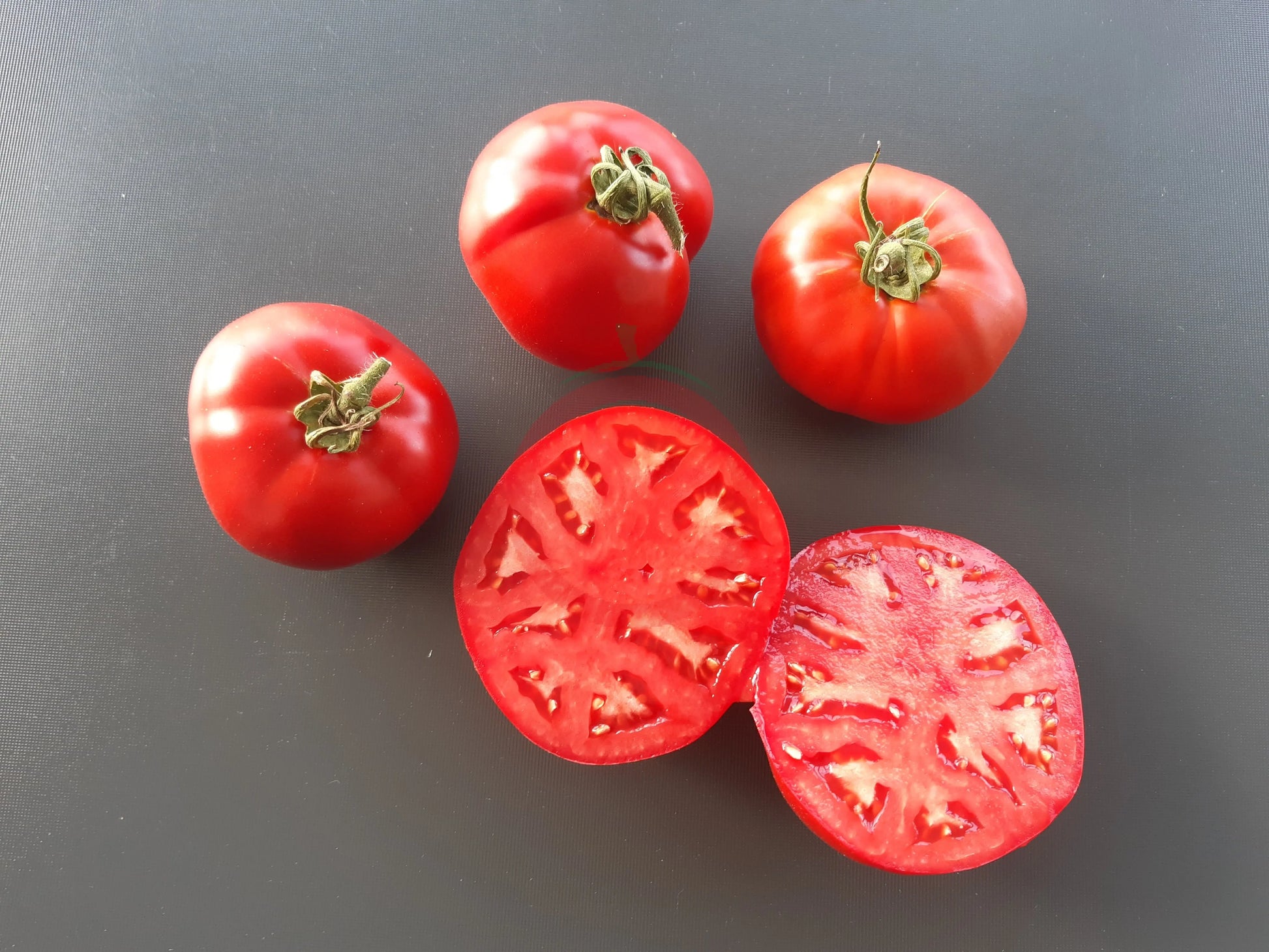 Japonskij Krab DER TOMATENFLÜSTERER