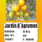 Jardin D´Agrumes DER TOMATENFLÜSTERER