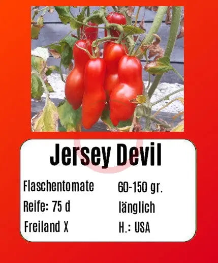 Jersey Devil DER TOMATENFLÜSTERER