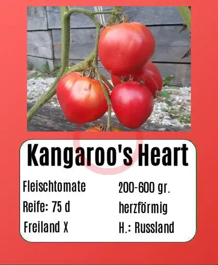 Kangaroo's Heart DER TOMATENFLÜSTERER