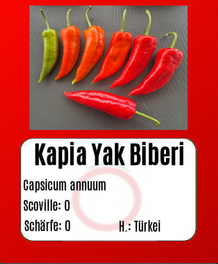 Kapia Yak Biberi DER TOMATENFLÜSTERER