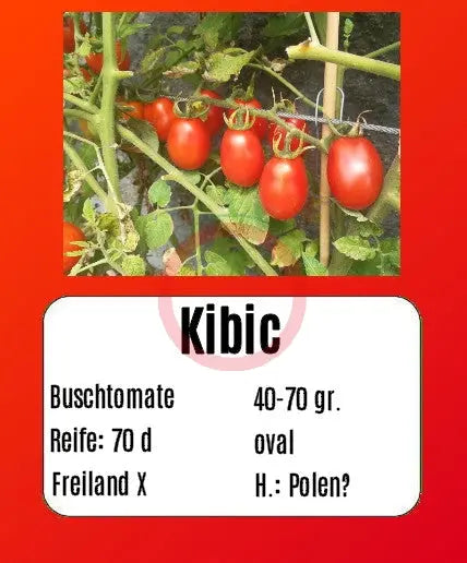 Kibic DER TOMATENFLÜSTERER