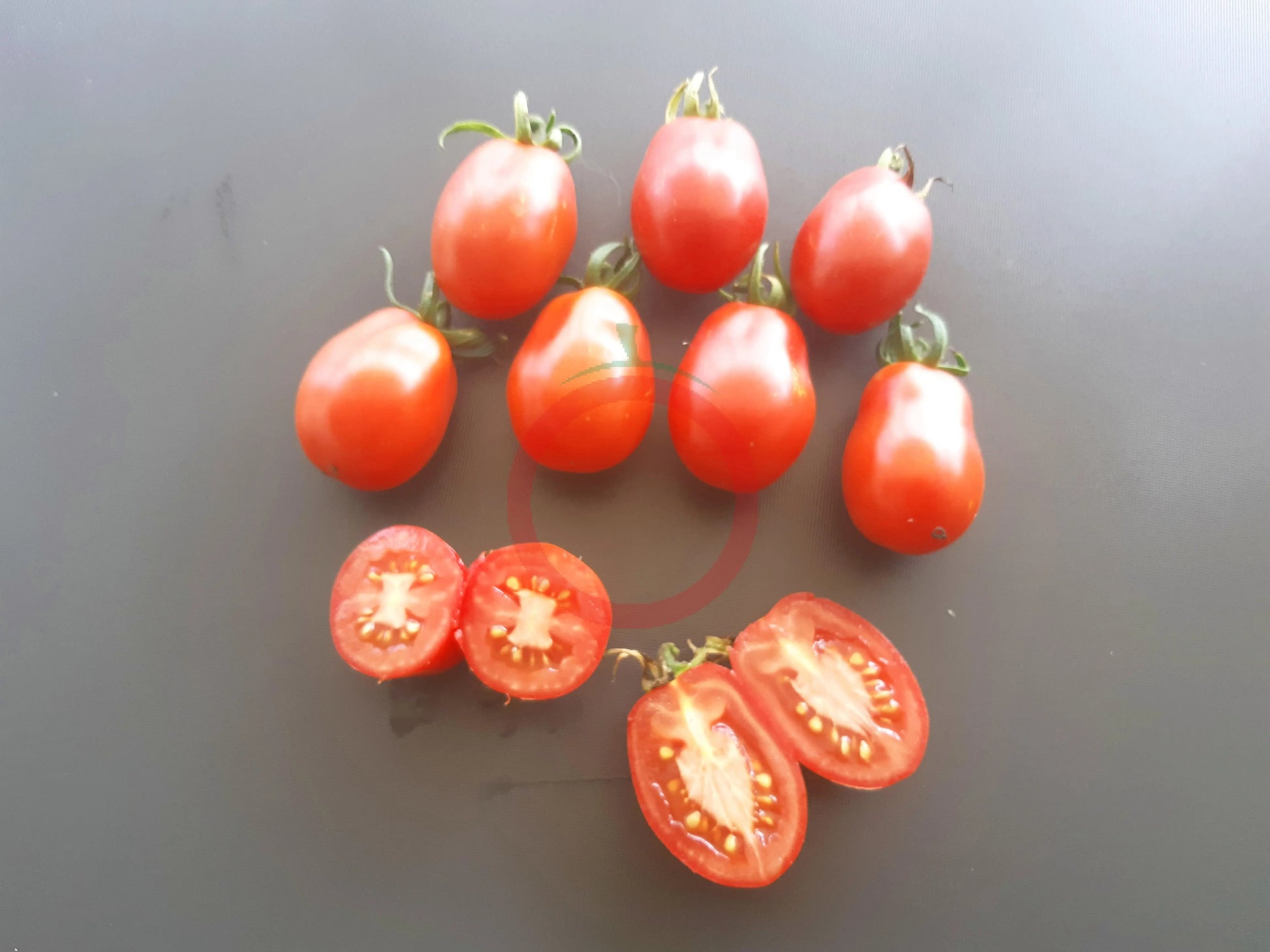 Kibic DER TOMATENFLÜSTERER