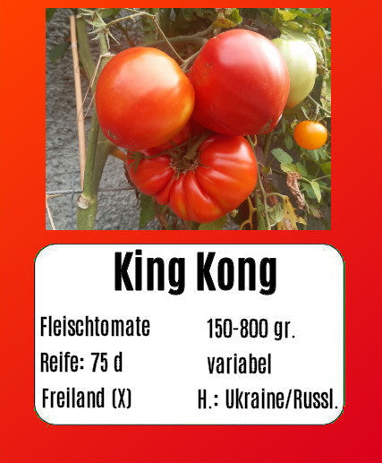 King Kong DER TOMATENFLÜSTERER