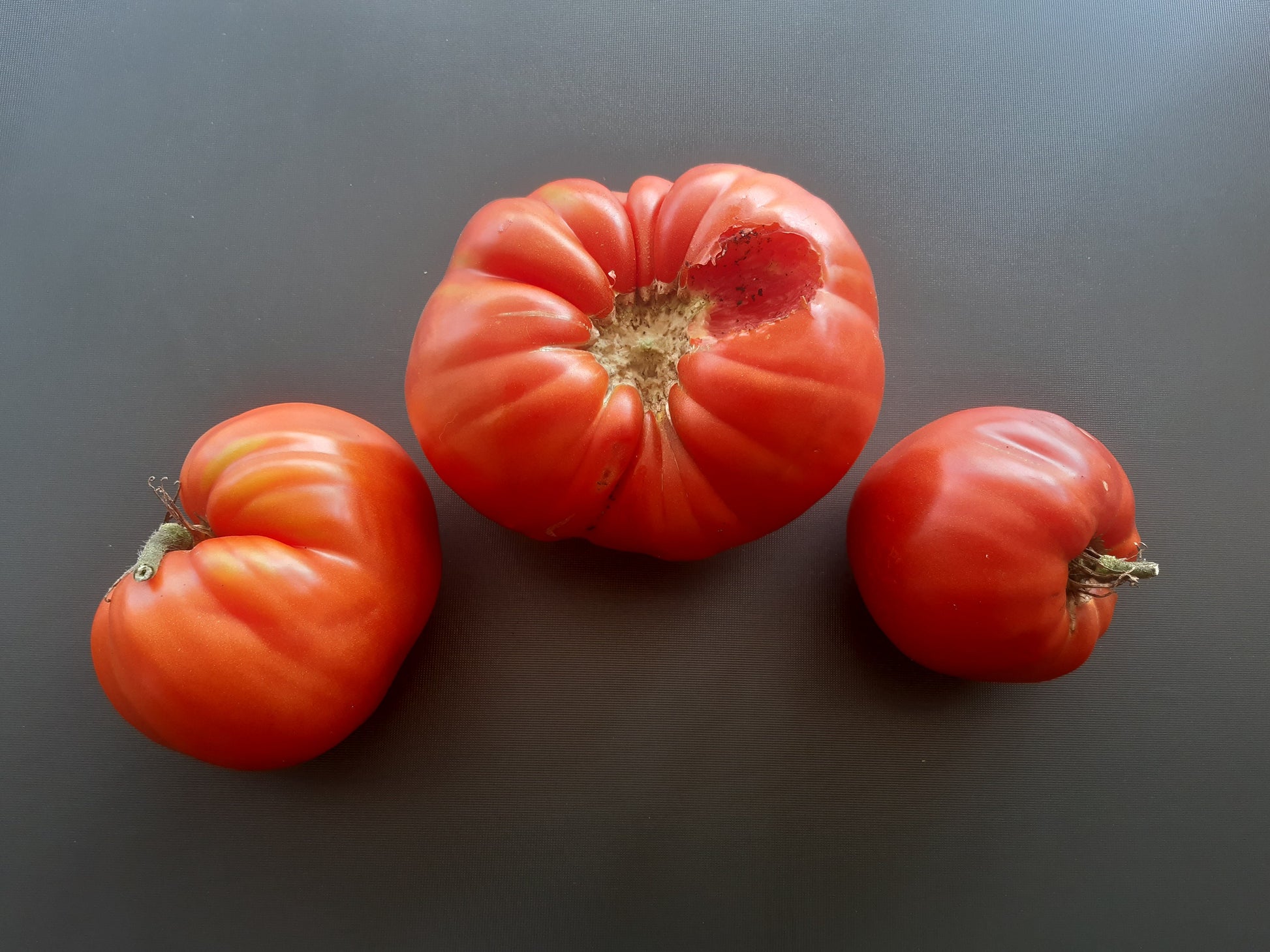 King Kong DER TOMATENFLÜSTERER