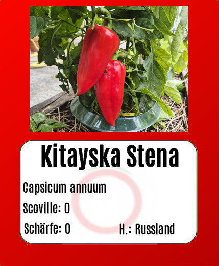 Kitayska Stena DER TOMATENFLÜSTERER