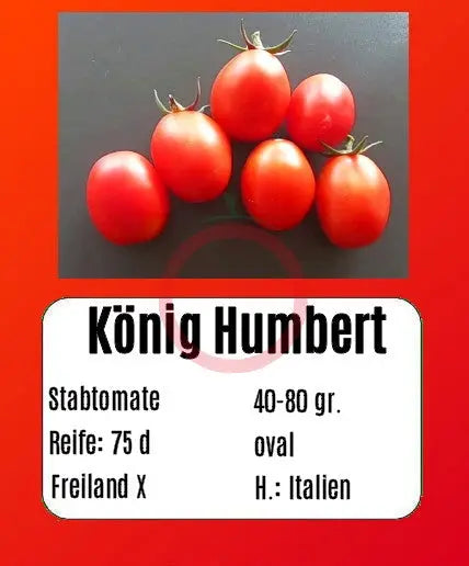 König Humbert DER TOMATENFLÜSTERER