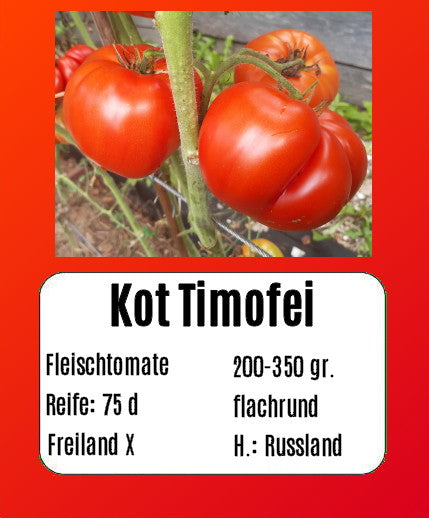 Kot Timofei DER TOMATENFLÜSTERER