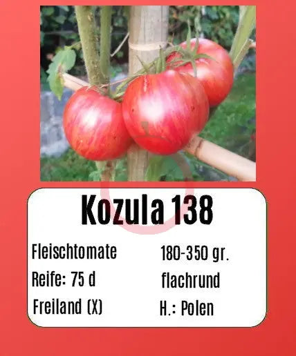 Kozula 138 DER TOMATENFLÜSTERER