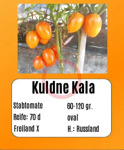 Kuldne Kala DER TOMATENFLÜSTERER