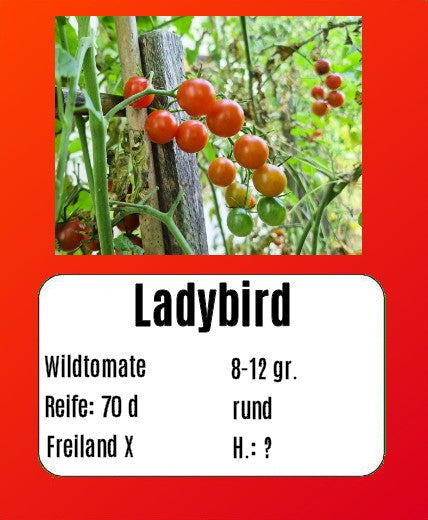 Ladybird DER TOMATENFLÜSTERER