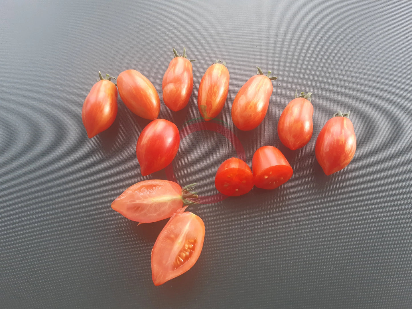 Laura MD DER TOMATENFLÜSTERER