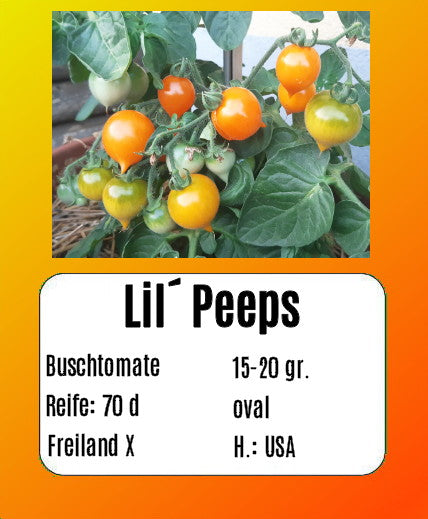 Lil’ Peeps DER TOMATENFLÜSTERER