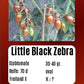 Little Black Zebra DER TOMATENFLÜSTERER