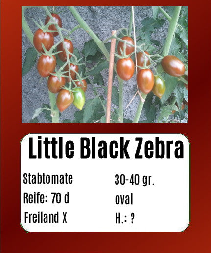 Little Black Zebra DER TOMATENFLÜSTERER