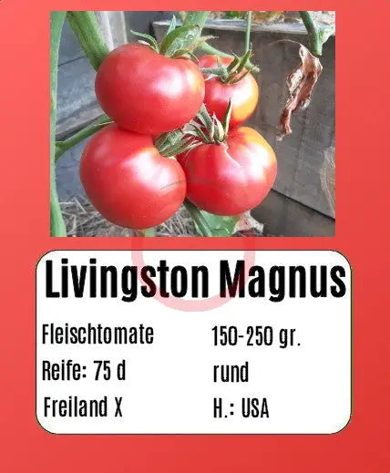 Livingston Magnus DER TOMATENFLÜSTERER