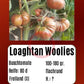 Loaghtan  Woolies DER TOMATENFLÜSTERER