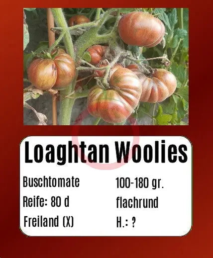 Loaghtan  Woolies DER TOMATENFLÜSTERER