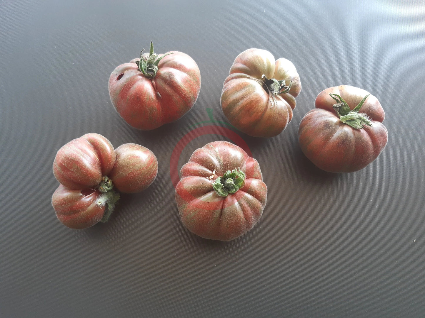 Loaghtan  Woolies DER TOMATENFLÜSTERER