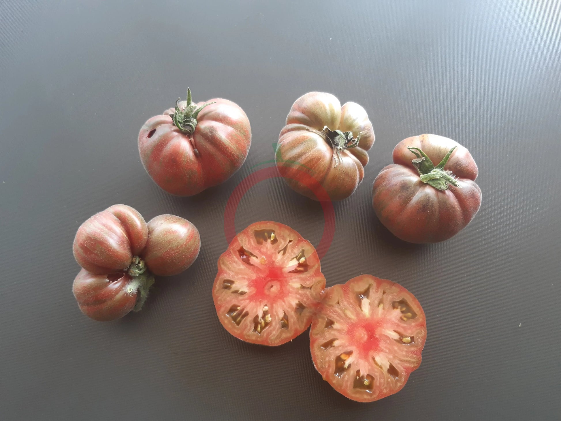 Loaghtan  Woolies DER TOMATENFLÜSTERER