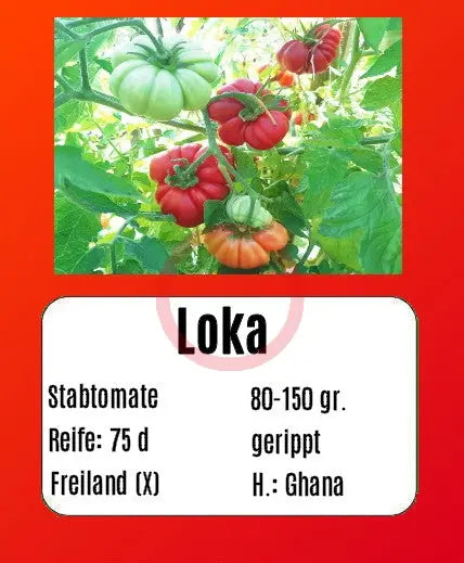 Loka DER TOMATENFLÜSTERER