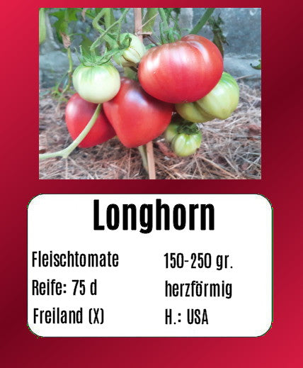 Longhorn DER TOMATENFLÜSTERER