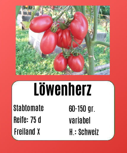 Löwenherz DER TOMATENFLÜSTERER