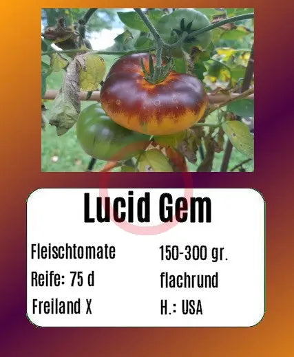 Lucid Gem DER TOMATENFLÜSTERER