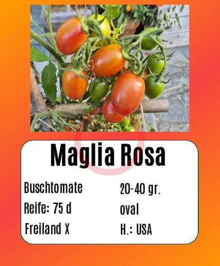 Maglia Rosa DER TOMATENFLÜSTERER