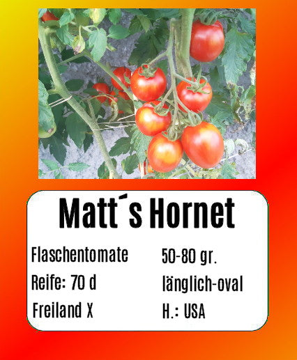 Matt´s Hornet DER TOMATENFLÜSTERER