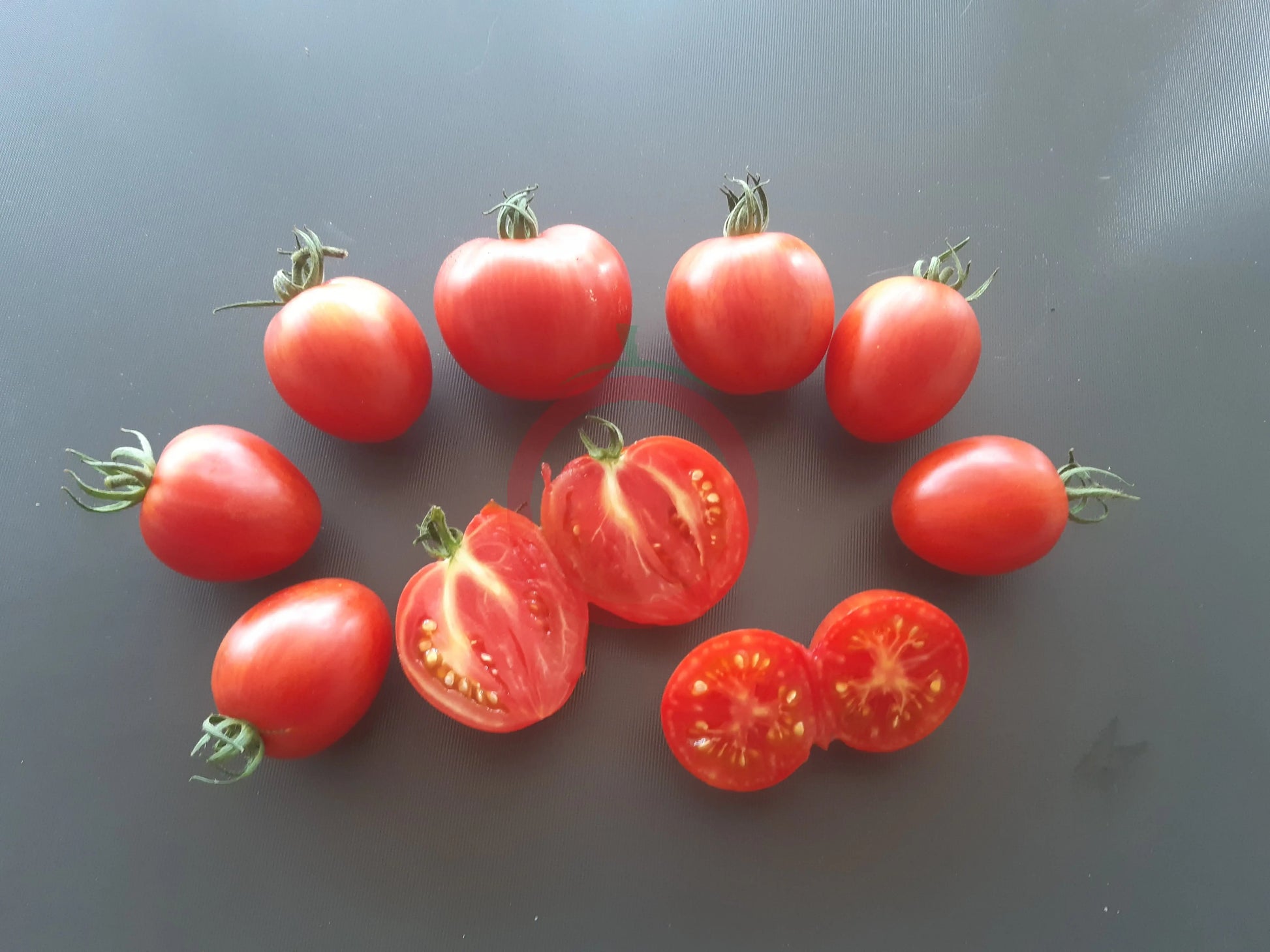 Matt´s Hornet DER TOMATENFLÜSTERER