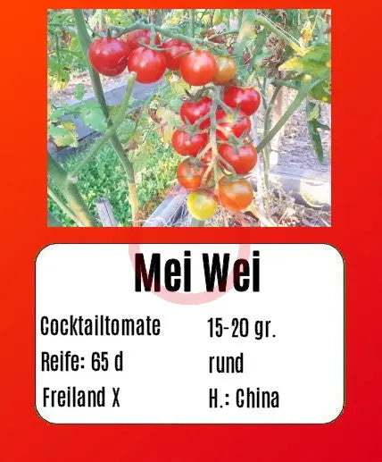 Mei Wei DER TOMATENFLÜSTERER