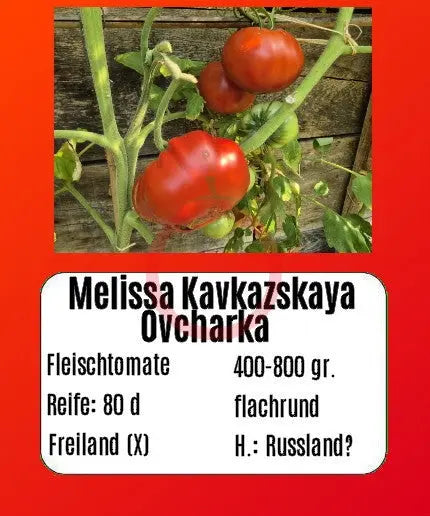 Melissa Kavkazskaya Ovcharka DER TOMATENFLÜSTERER