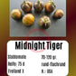 Midnight Tiger DER TOMATENFLÜSTERER