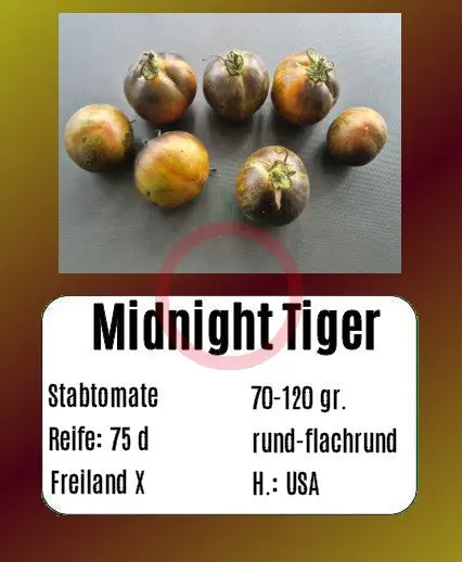 Midnight Tiger DER TOMATENFLÜSTERER